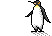 :penguin_6: